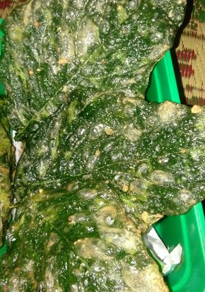 Foto resep Rempeyek bayam