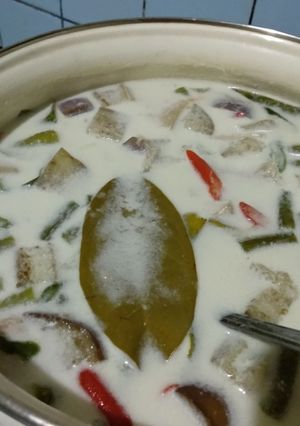 Foto resep Sayur lodeh