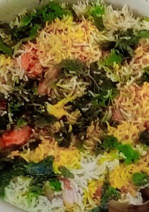 A picture of Karachi special beef pilaao biryani.