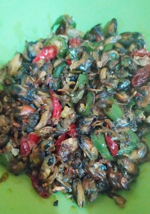 Foto resep Tumis kerang sederhana