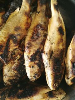 عکسی از دستور ماهی برشته