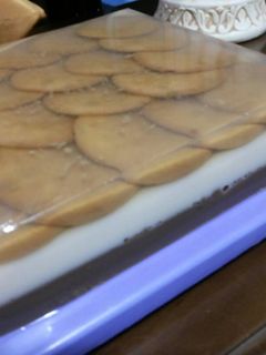 Foto resep Puding Regal