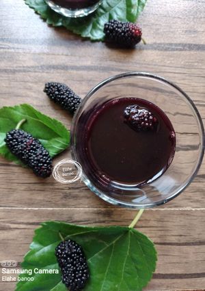 عکسی از دستور آب توت