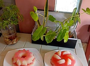Foto resep Puding Teh Kulit Manggis Rosella
