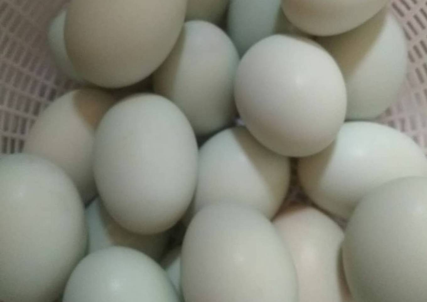 Telur Bebek Asin Anti Gagal