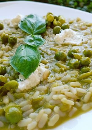 A picture of Risotto with Pea Purée and Ricotta.
