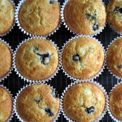A picture of Cottage Cheese & Blueberry Cupcakes.