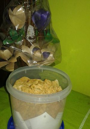 Foto resep Peyek udang rebon renyah gurih dan anti remuk ^_^