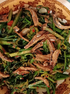 Foto resep Tumis Pakis+ikan teri