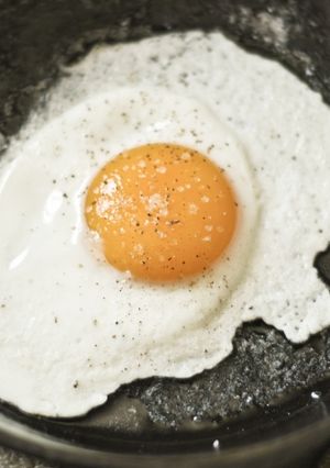 A picture of How To Create Egg Fry.