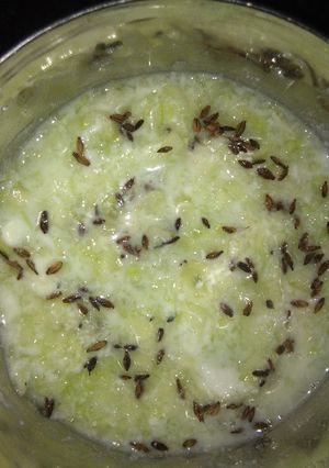 A picture of Cucumber Raita.