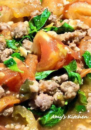 番茄炒肉末 / 家常菜 的食譜成品照片