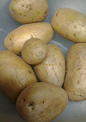 A picture of Skye's microwaved potatoes.