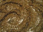 A picture of podina chutney