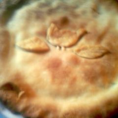 A picture of sunshine chicken pot pie.