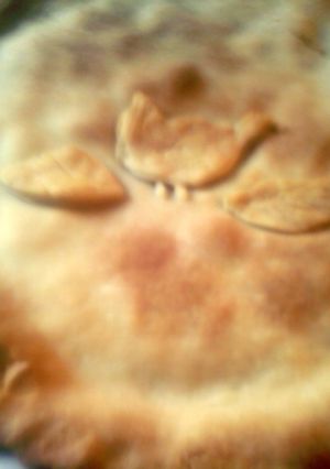 A picture of sunshine chicken pot pie.