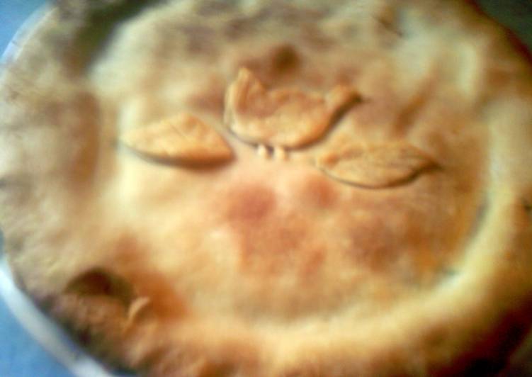 Easiest Way to Make Award-winning sunshine chicken pot pie