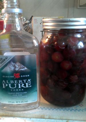 A picture of Drunken Grapes.