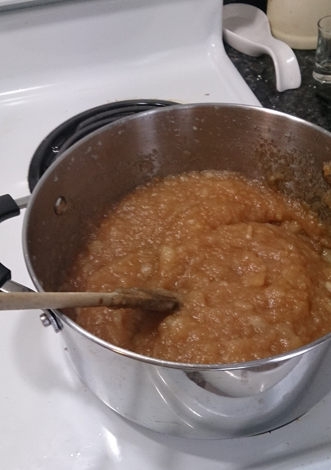 A picture of Simple Home Style Applesauce.