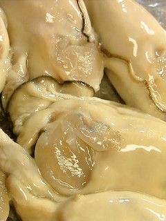 A picture of How to Prepare Oysters.