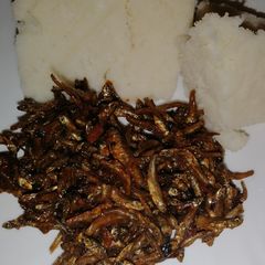 Ugali with wet fry omena A picture of Ugali with wet fry omena.