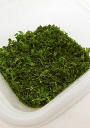 A picture of 5 Minutes in the Microwave! Dried Parsley.