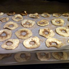 A picture of Apple cinnamon chips.