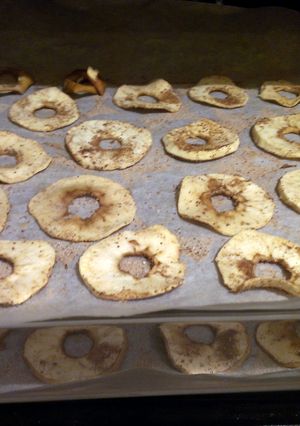 A picture of Apple cinnamon chips.
