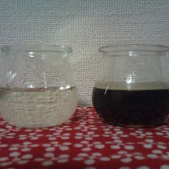 A picture of Homemade Gum Syrup.