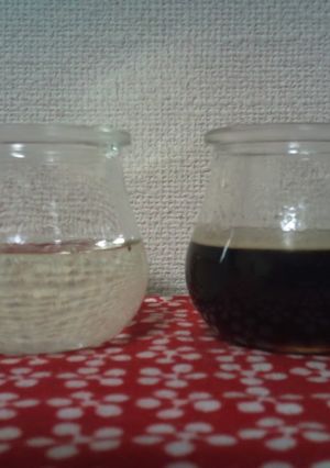 A picture of Homemade Gum Syrup.