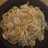 Garlic Shrimp Alfredo