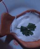 Mayonesa de leche