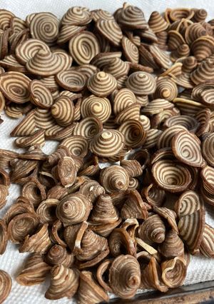 Foto resep Kuping Gajah
