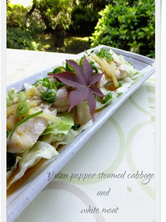 A picture of Steamed Chicken Tenders and Cabbage with Yuzu Pepper Paste.