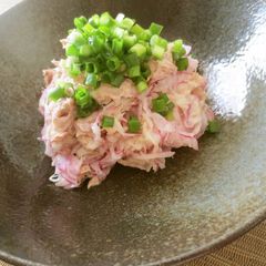 A picture of Colorful and Refreshing Red Onion Salad.