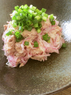 A picture of Colorful and Refreshing Red Onion Salad.
