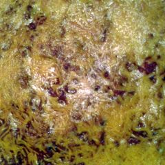 A picture of rigatoni pasta and sauce baked.