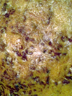 A picture of rigatoni pasta and sauce baked.