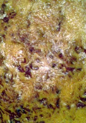 A picture of rigatoni pasta and sauce baked.