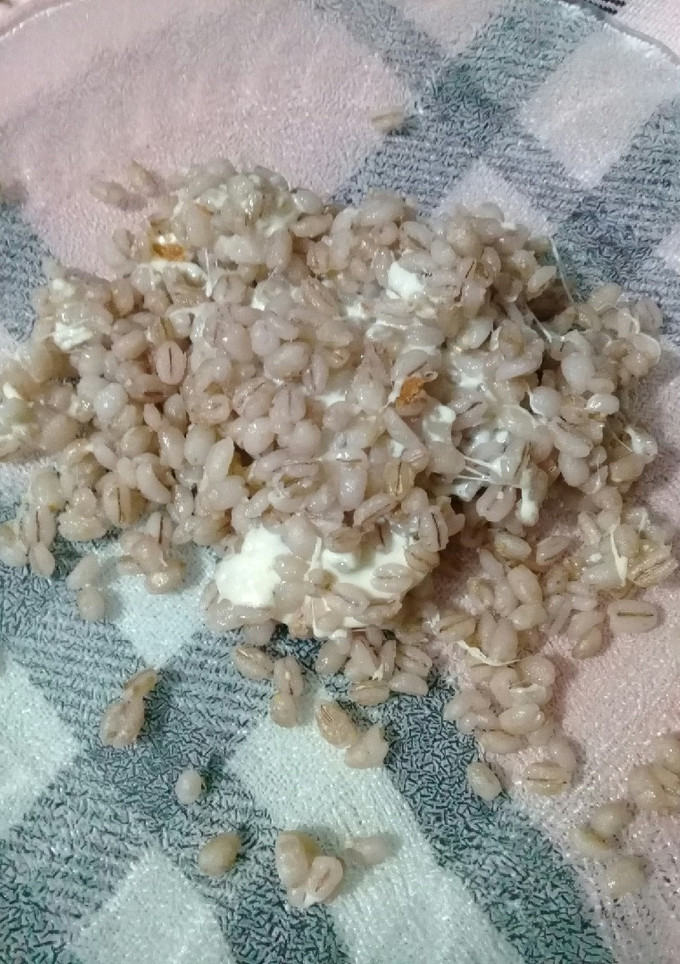 Una foto de Cebada con quesito🐱