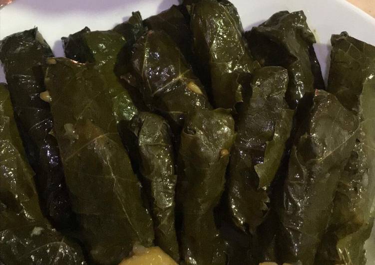 محشي ورق عنب