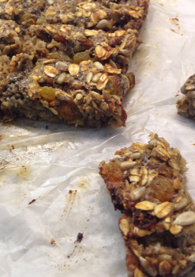 A picture of Date/Oat Bars.