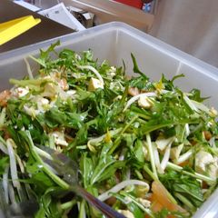 Vegetarian Tofu & Mizuna Salad A picture of Vegetarian Tofu & Mizuna Salad.
