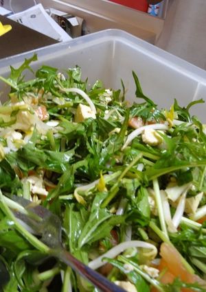 A picture of Vegetarian Tofu & Mizuna Salad.