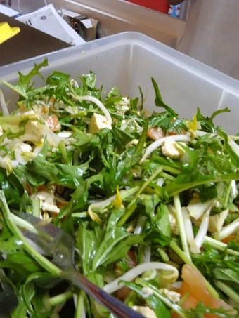 Easy Steps to Prepare Recipes Vegetarian Tofu &amp; Mizuna Salad the Delicious So Delicious.