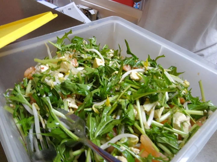 Easy Steps to Make|Recipe} Vegetarian Tofu &amp;amp; Mizuna Salad, Delicious