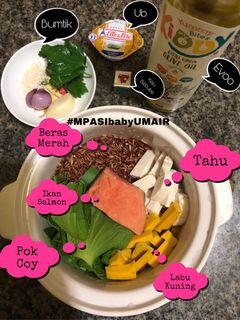Foto resep MPASI 11+ 4 bintang. Salmon, tahu, pok coy, labu kuning