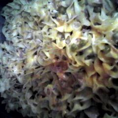 A picture of Tuna Noodle Casserole.