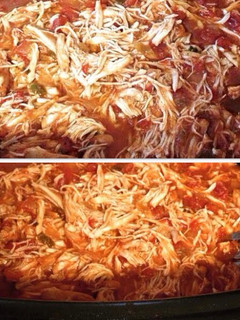 A picture of Stewed Shredded Chicken.
