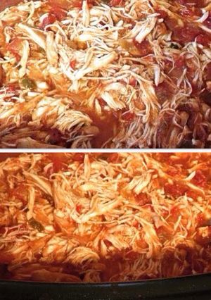 A picture of Stewed Shredded Chicken.
